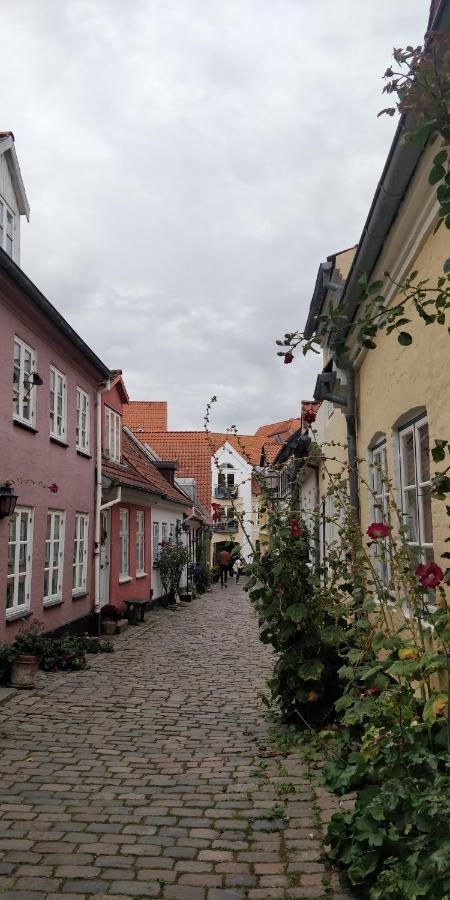 Apartment In The Heart Of Ålborg Exterior foto